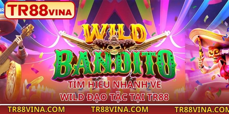 Tìm hiểu nhanh về Wild Đạo Tặc tại TR88