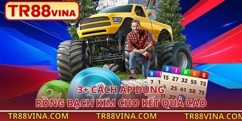 3+ cách áp dụng Rồng Bạch Kim cho kết quả cao