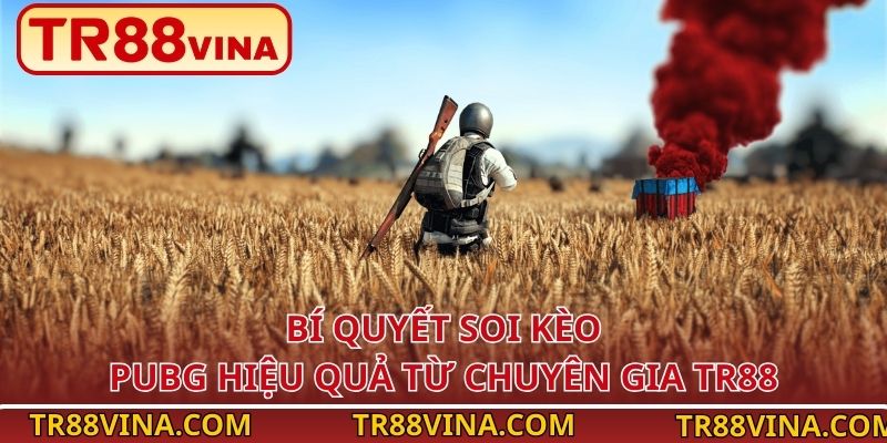 Bí quyết soi kèo PUBG hiệu quả từ chuyên gia TR88