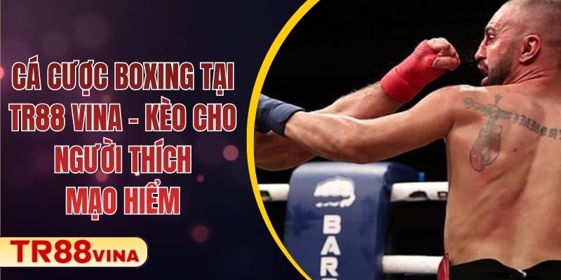 Cá Cược Boxing Tại TR88 VINA – Kèo Cho Người Thích Mạo Hiểm