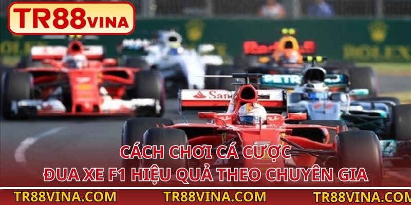 Cách chơi cá cược đua xe F1 hiệu quả theo chuyên gia