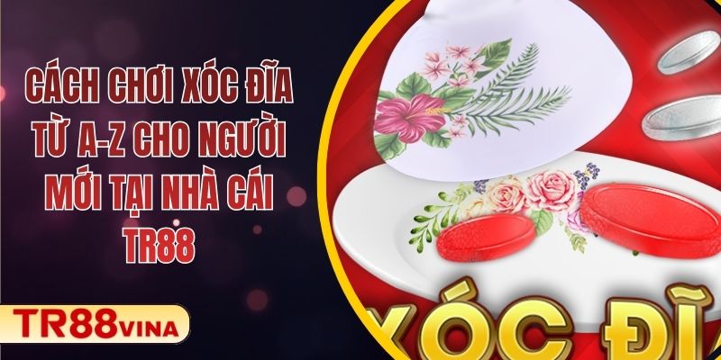 Cách Chơi Xóc Đĩa Từ A–Z Cho Người Mới Tại Nhà Cái TR88