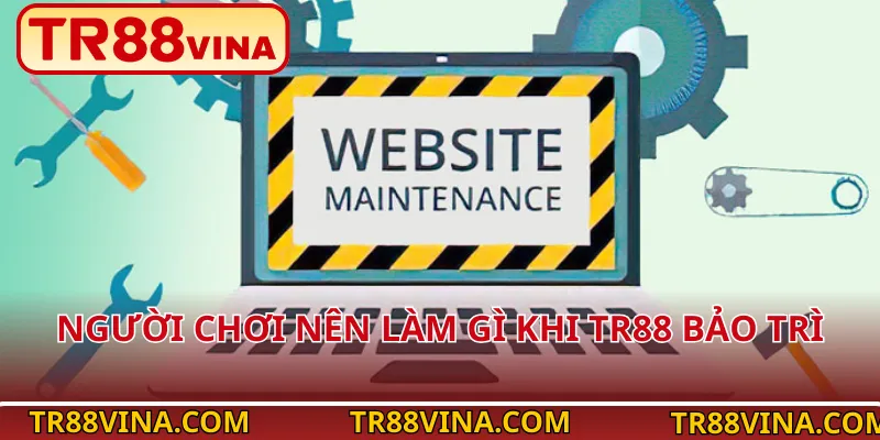 Người chơi nên làm gì khi TR88 bảo trì